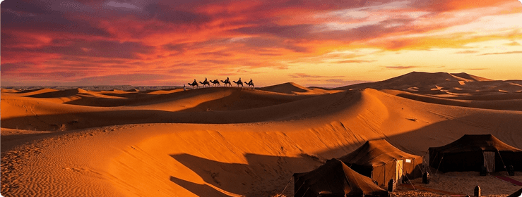 Sahara Dunes & Stargazing