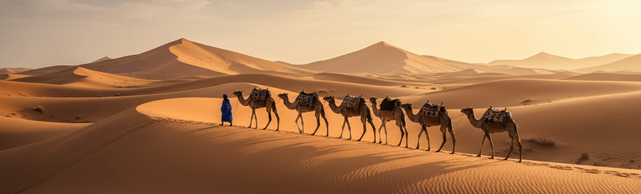 Ouhdidou luxury van parked near a Moroccan landmark at dusk